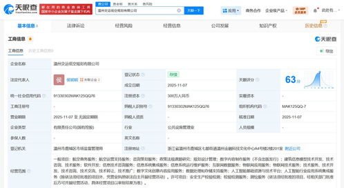 溫州市交通運輸集團牽頭成立低空規劃公司，注冊資本300萬推動咨詢策劃服務
